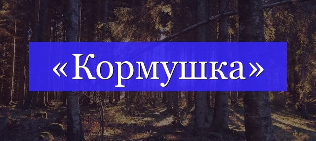 Корень слова «кормушка»