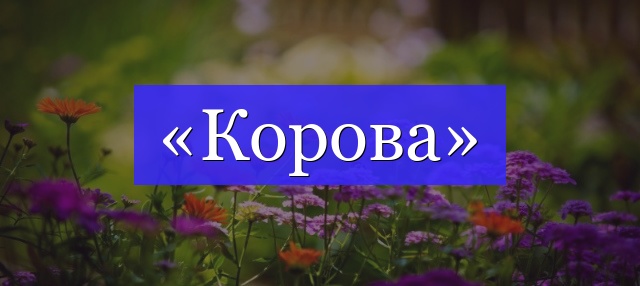 Корень слова «корова»