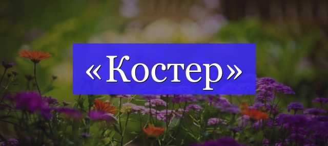 Корень слова «костер»