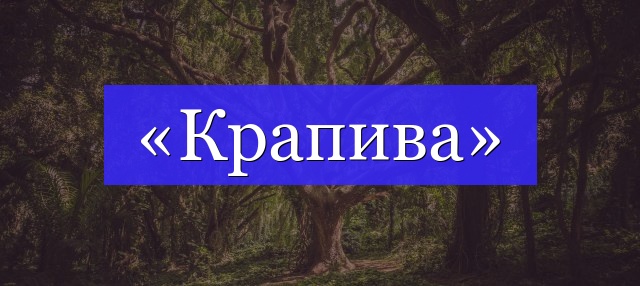 Корень слова «крапива»