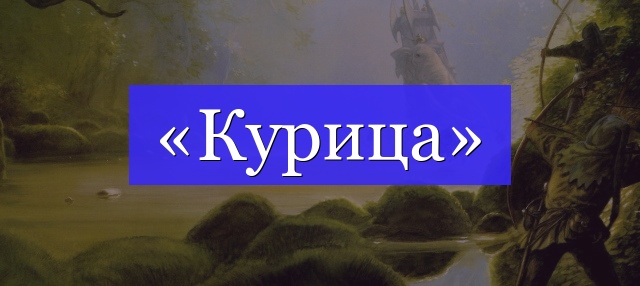 Корень слова «курица»