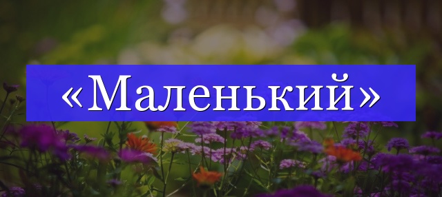 Корень слова «маленький»