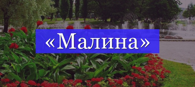 Корень слова «малина»