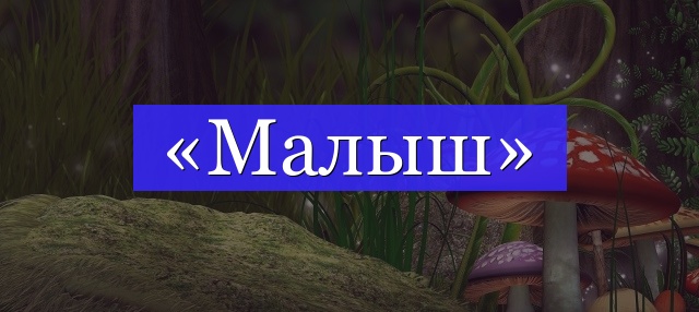 Корень слова «малыш»