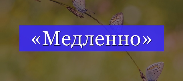 Корень слова «медленно»