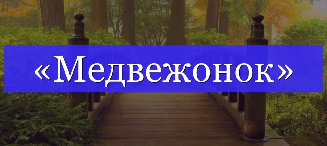 Корень слова «медвежонок»