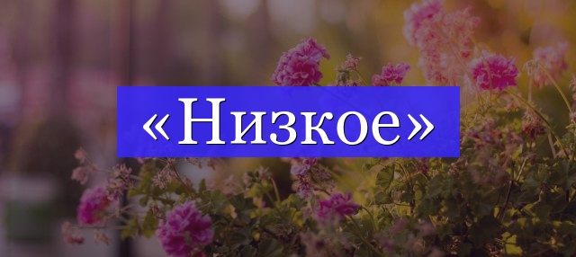 Корень слова «низкое»