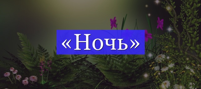 Корень слова «ночь»