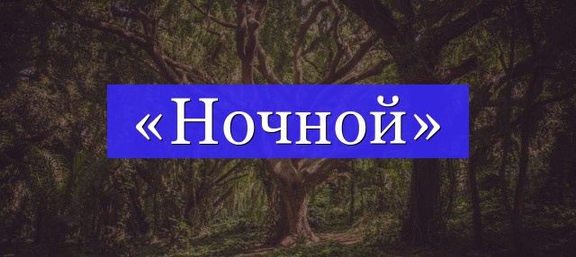 Корень слова «ночной»