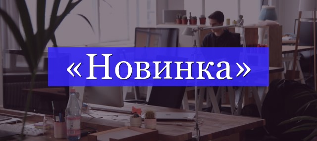 Корень слова «новинка»