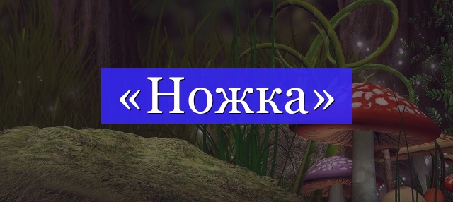 Корень слова «ножка»