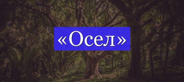 Корень слова «осел»