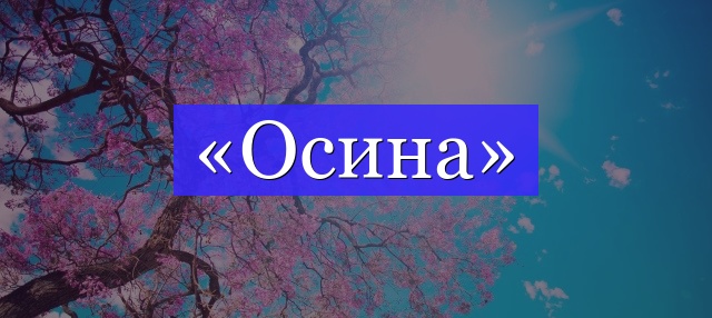 Корень слова «осина»