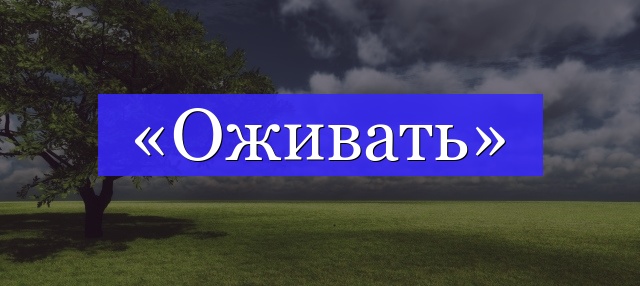 Корень слова «оживать»