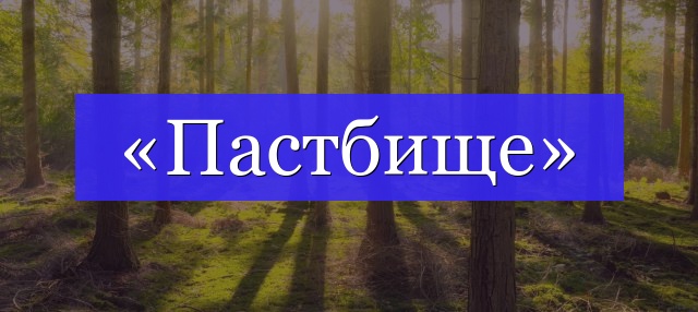 Корень слова «пастбище»