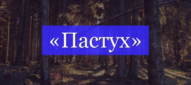 Корень слова «пастух»