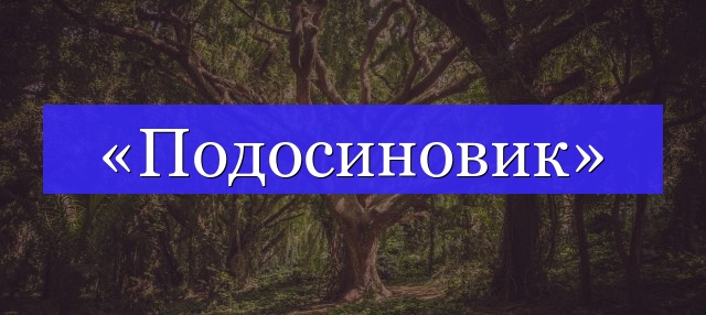 Корень слова «подосиновик»