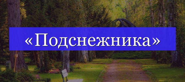 Корень слова «подснежника»