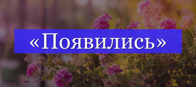 Корень слова «появились»