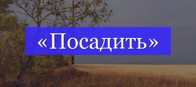 Корень слова «посадить»