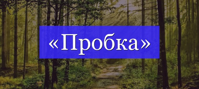 Корень слова «пробка»