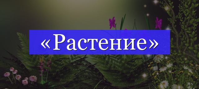 Корень слова «растение»