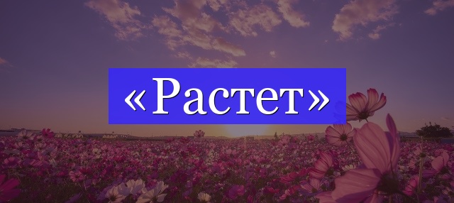 Корень слова «растет»