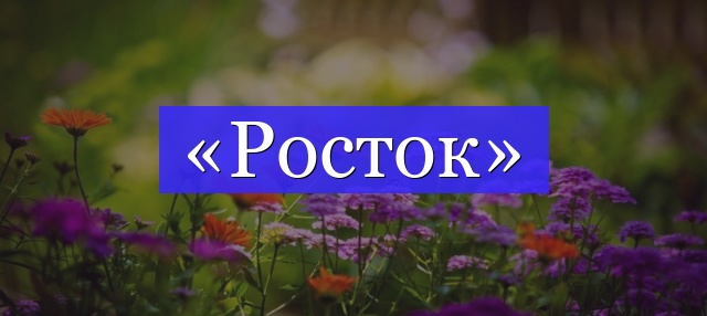 Корень слова «росток»