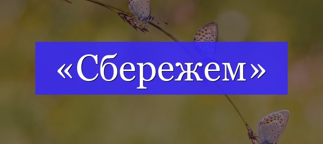 Корень слова «сбережем»