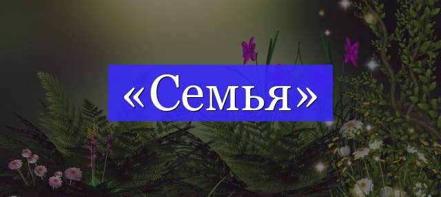 Корень слова «семья»