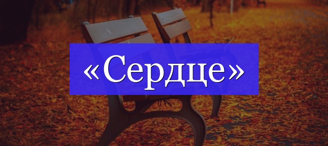 Корень слова «сердце»