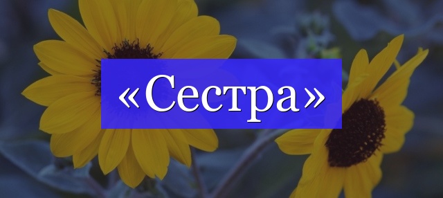 Корень слова «сестра»