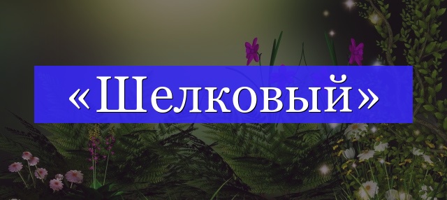 Корень слова «шелковый»