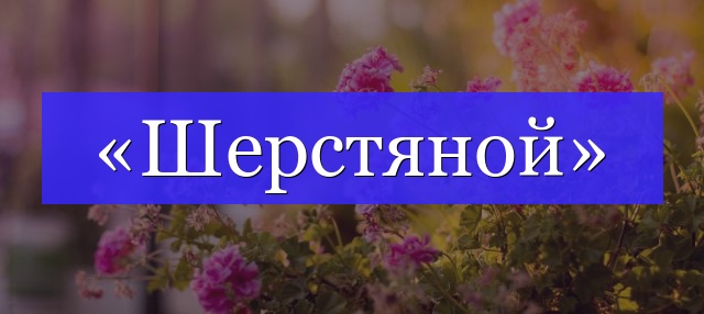 Корень слова «шерстяной»