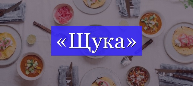 Корень слова «щука»