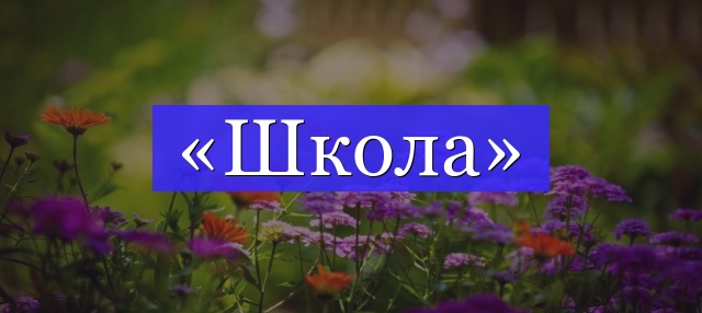 Корень слова «школа»