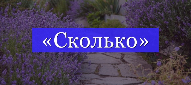 Корень слова «сколько»