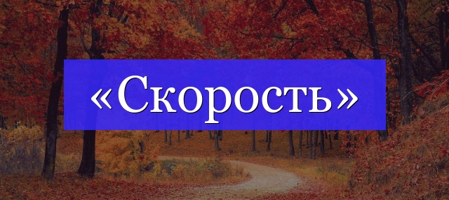 Корень слова «скорость»