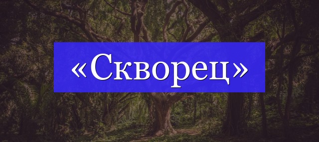 Корень слова «скворец»