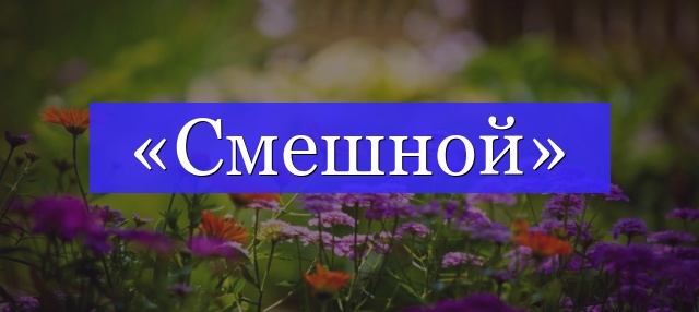 Корень слова «смешной»