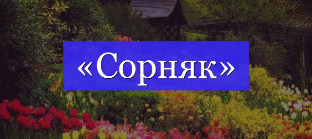 Корень слова «сорняк»