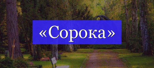 Корень слова «сорока»