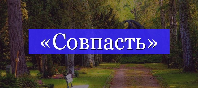 Корень слова «совпасть»