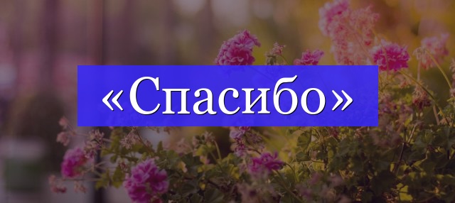 Корень слова «спасибо»