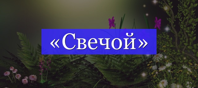 Корень слова «свечой»