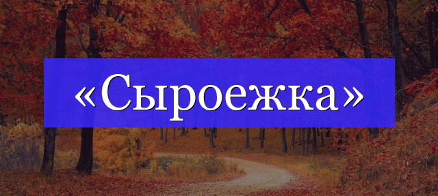 Корень слова «сыроежка»