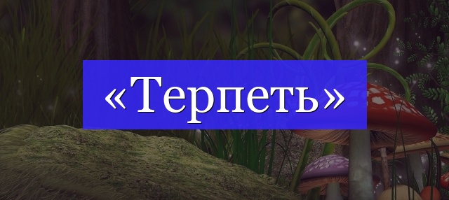 Корень слова «терпеть»