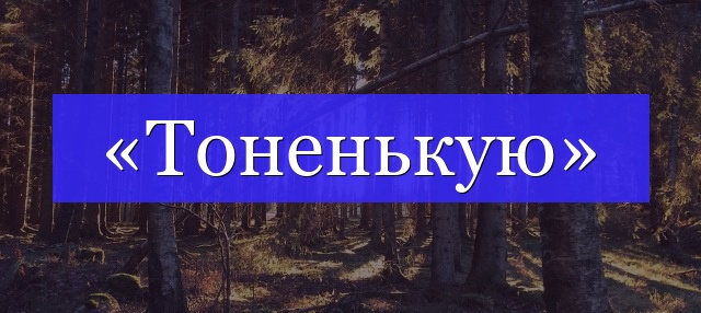 Корень слова «тоненькую»