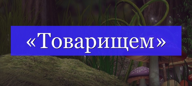 Корень слова «товарищем»