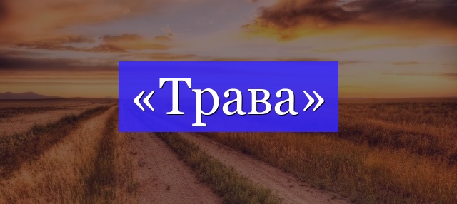 Корень слова «трава»